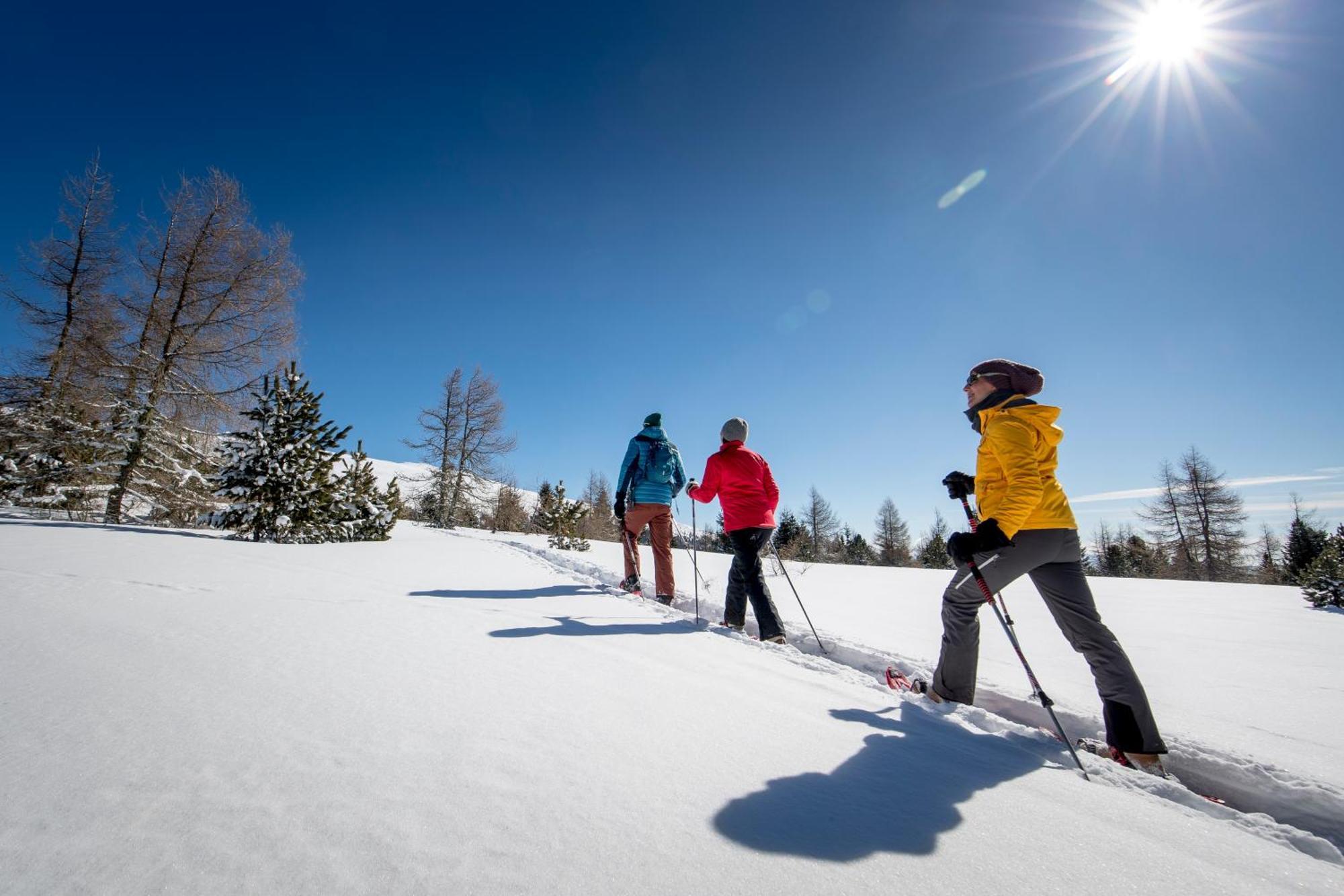 Feriendorf Murau By Alps Resorts Экстерьер фото