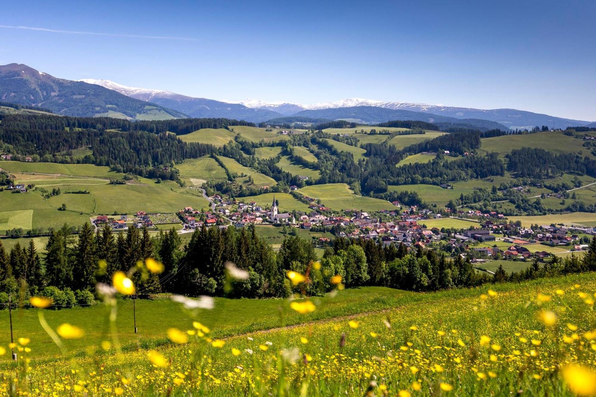 Feriendorf Murau By Alps Resorts Экстерьер фото